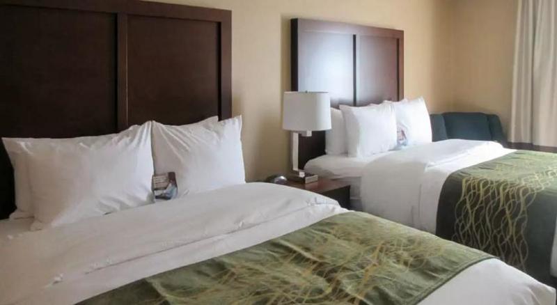 Comfort Inn & Suites - Harrisburg Airport - Hershey South Middletown  Esterno foto