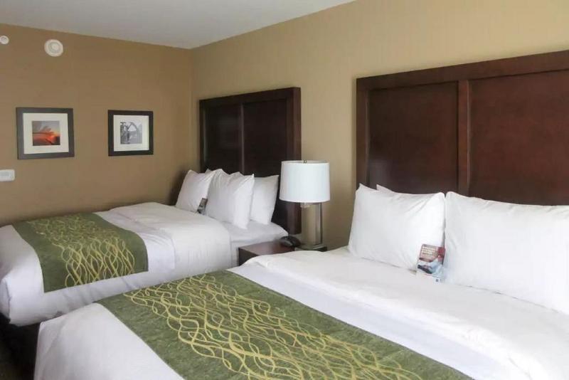 Comfort Inn & Suites - Harrisburg Airport - Hershey South Middletown  Esterno foto